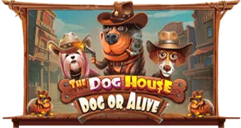 The Dog House – Dog or Alive