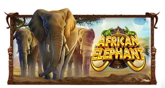 African Elephant™